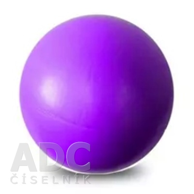GYMY OVER BALL REHABILITAČNÁ LOPTA 25 cm