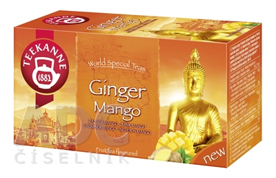 TEEKANNE WST GINGER MANGO