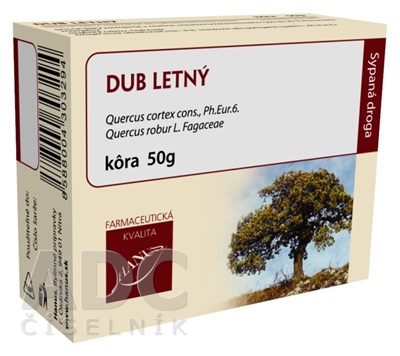 HANUS DUB LETNÝ KÔRA